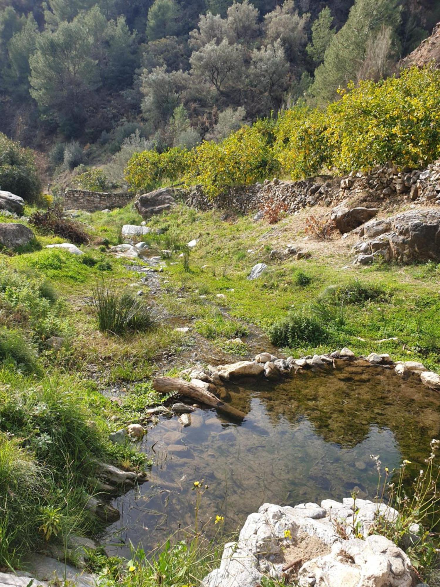 Casa Marlo, Spacious House In The Lively Centre Of Cómpeta מראה חיצוני תמונה