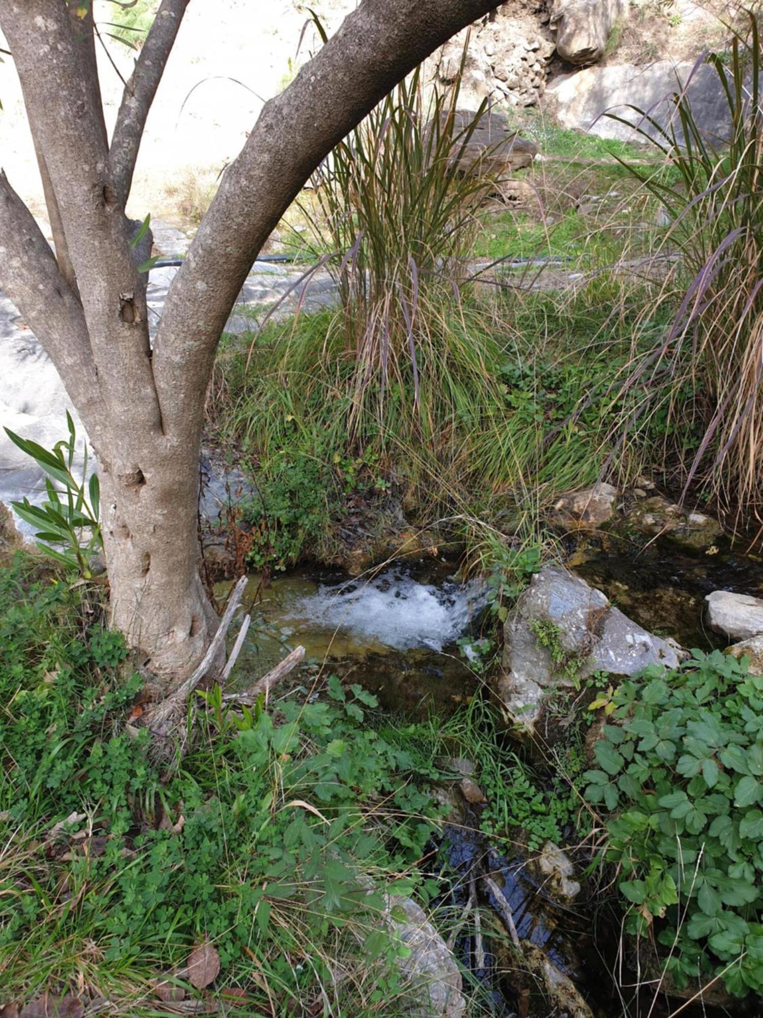 Casa Marlo, Spacious House In The Lively Centre Of Cómpeta מראה חיצוני תמונה